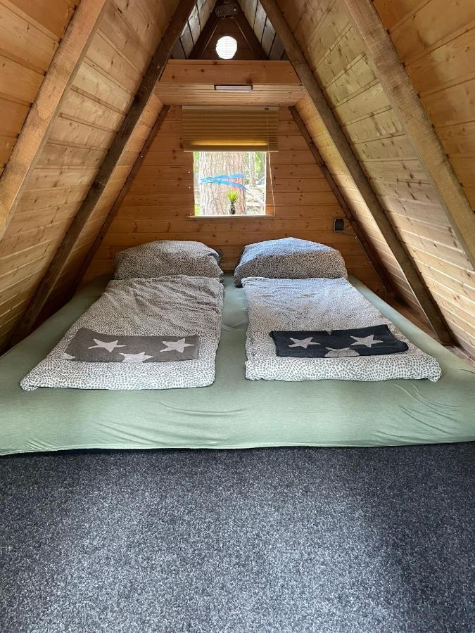 Waldcamp Mit Einfachen Und Zweckmaessigen Huetten Und Caravans Pur Campsite
