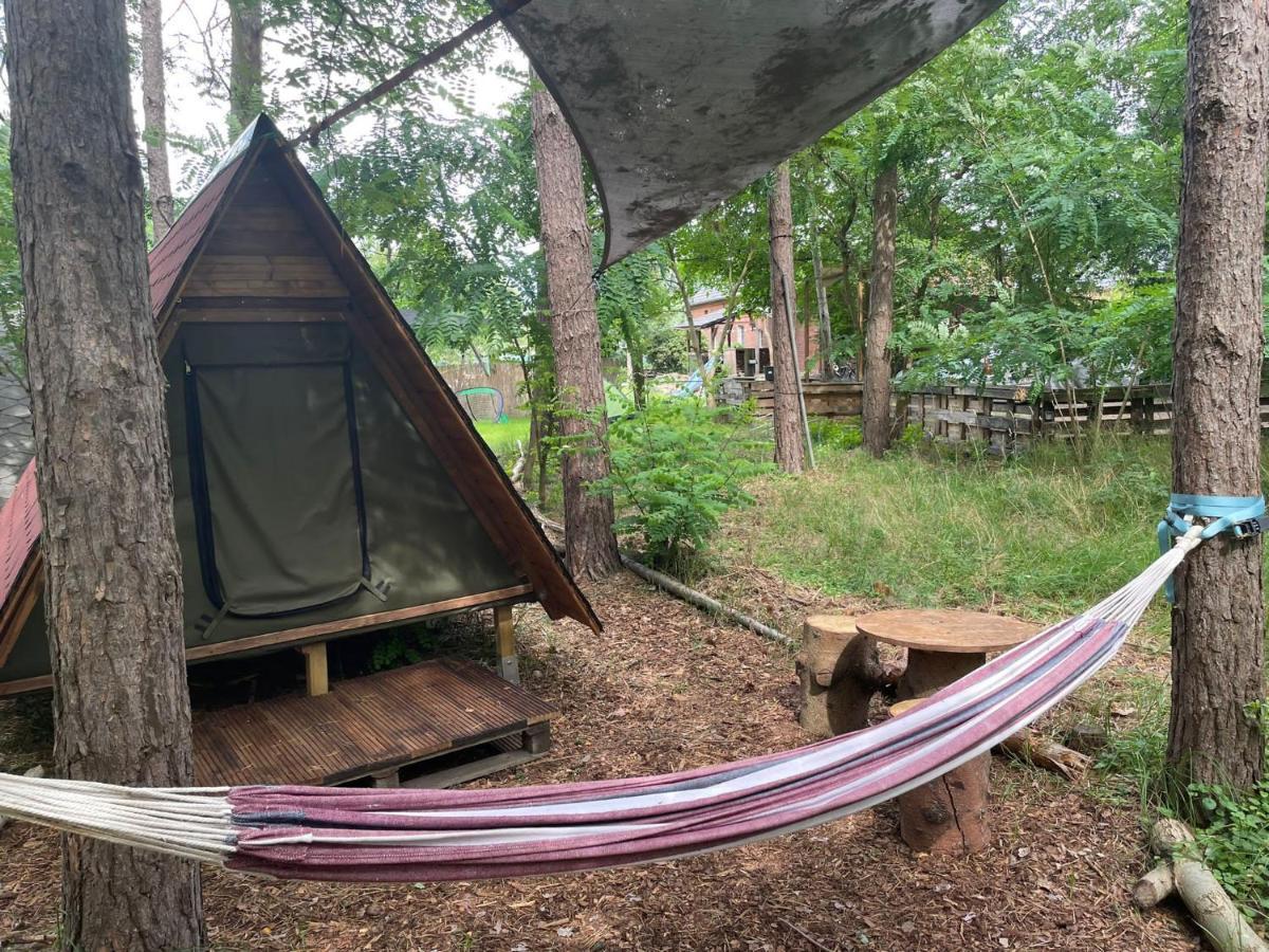 Campingplatz Waldcamp Mit Einfachen Und Zweckmaessigen Huetten Und Caravans Pur Cottbus