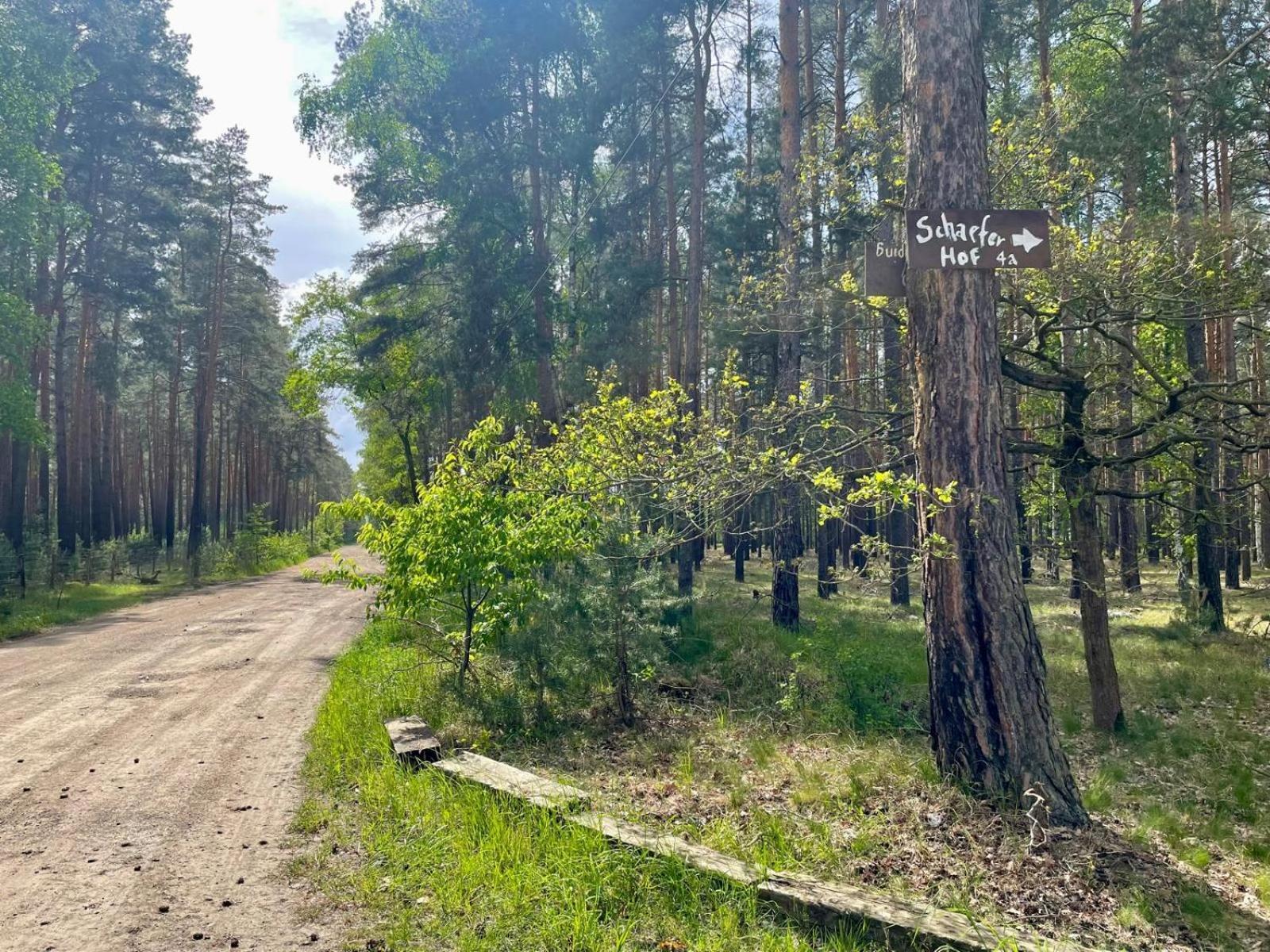 Waldcamp Mit Einfachen Und Zweckmaessigen Huetten Und Caravans Pur Campsite *