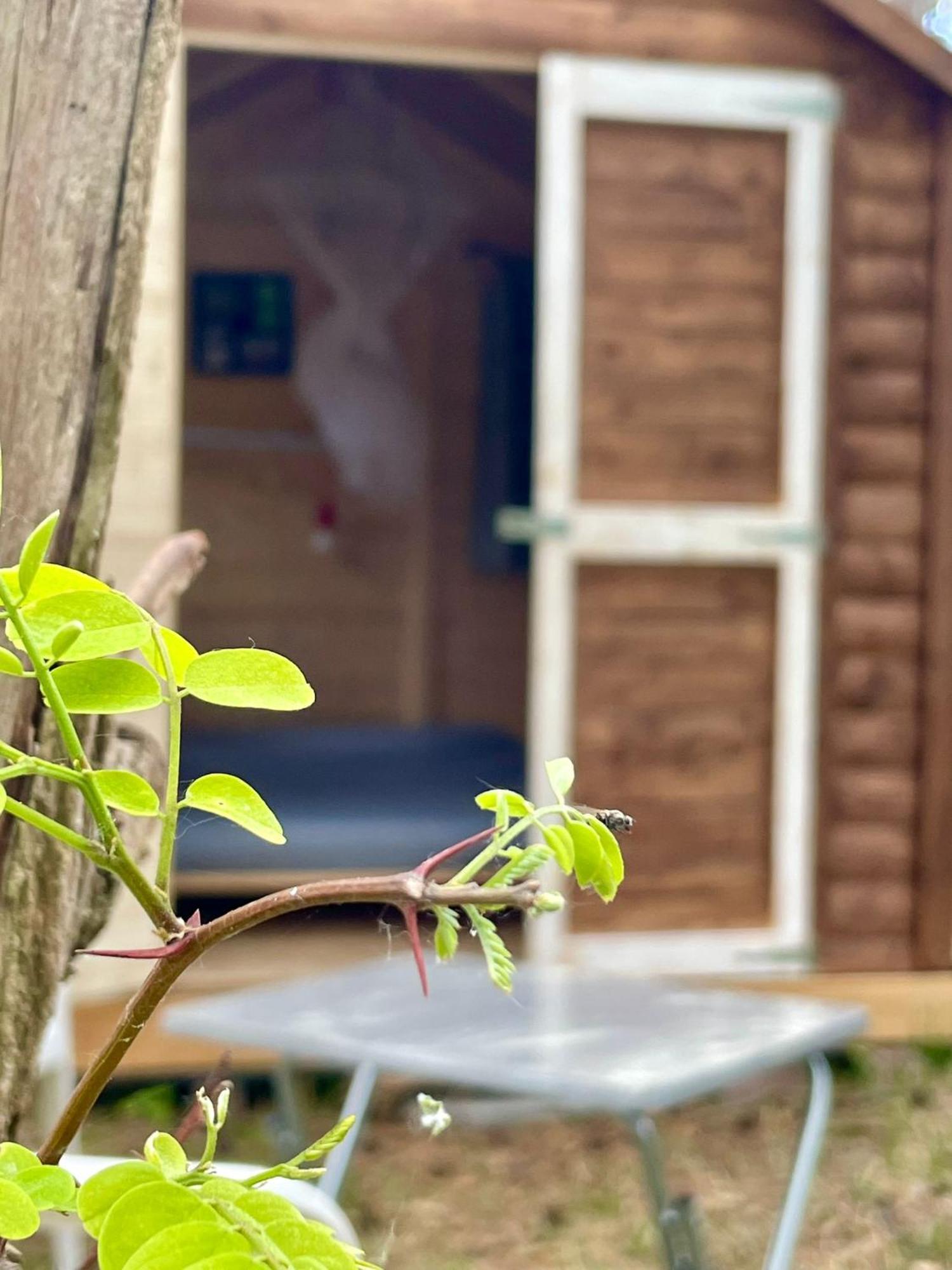 Waldcamp Mit Einfachen Und Zweckmaessigen Huetten Und Caravans Pur Campingplatz Cottbus