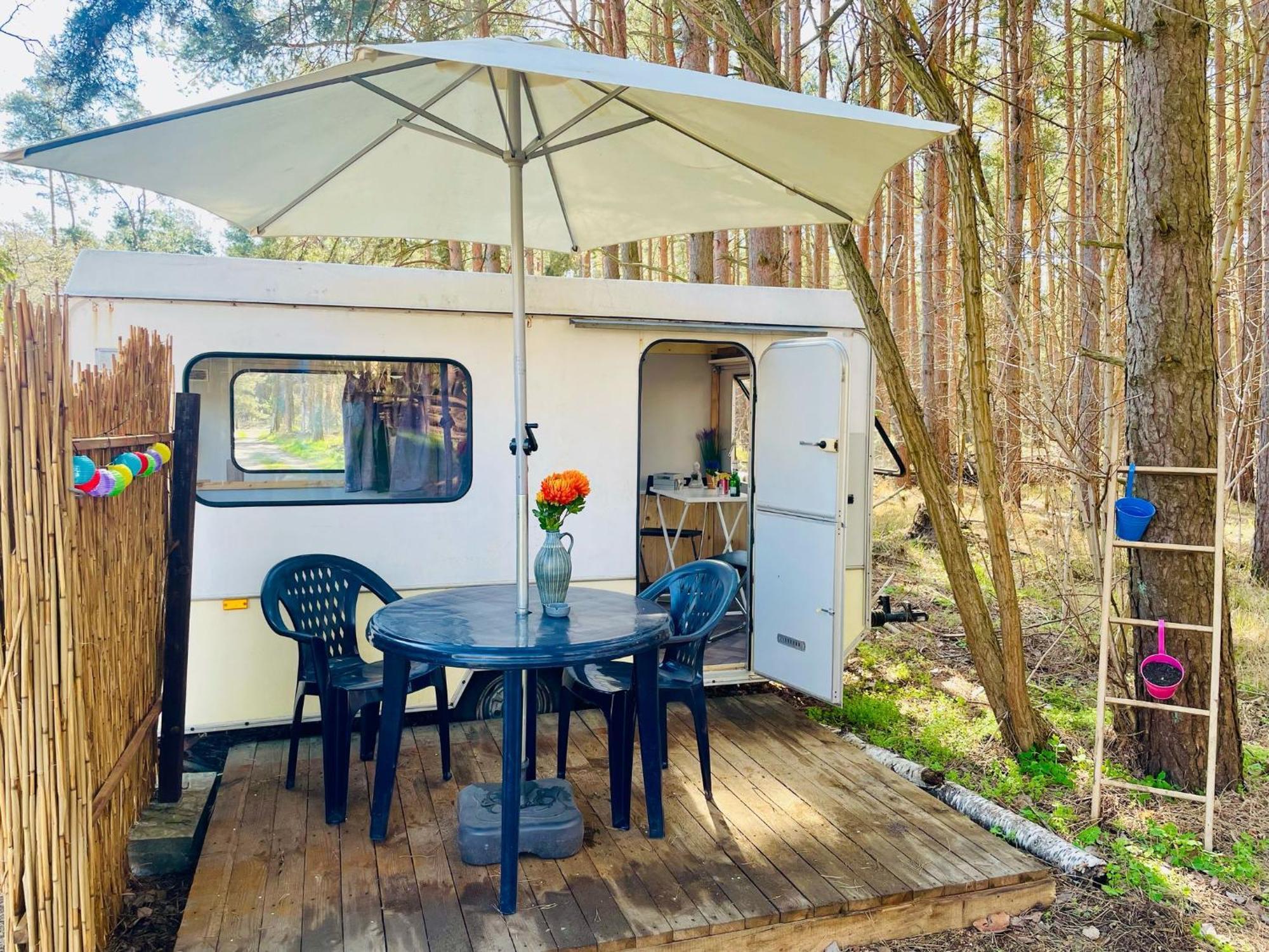 Waldcamp Mit Einfachen Und Zweckmaessigen Huetten Und Caravans Pur Cottbus
