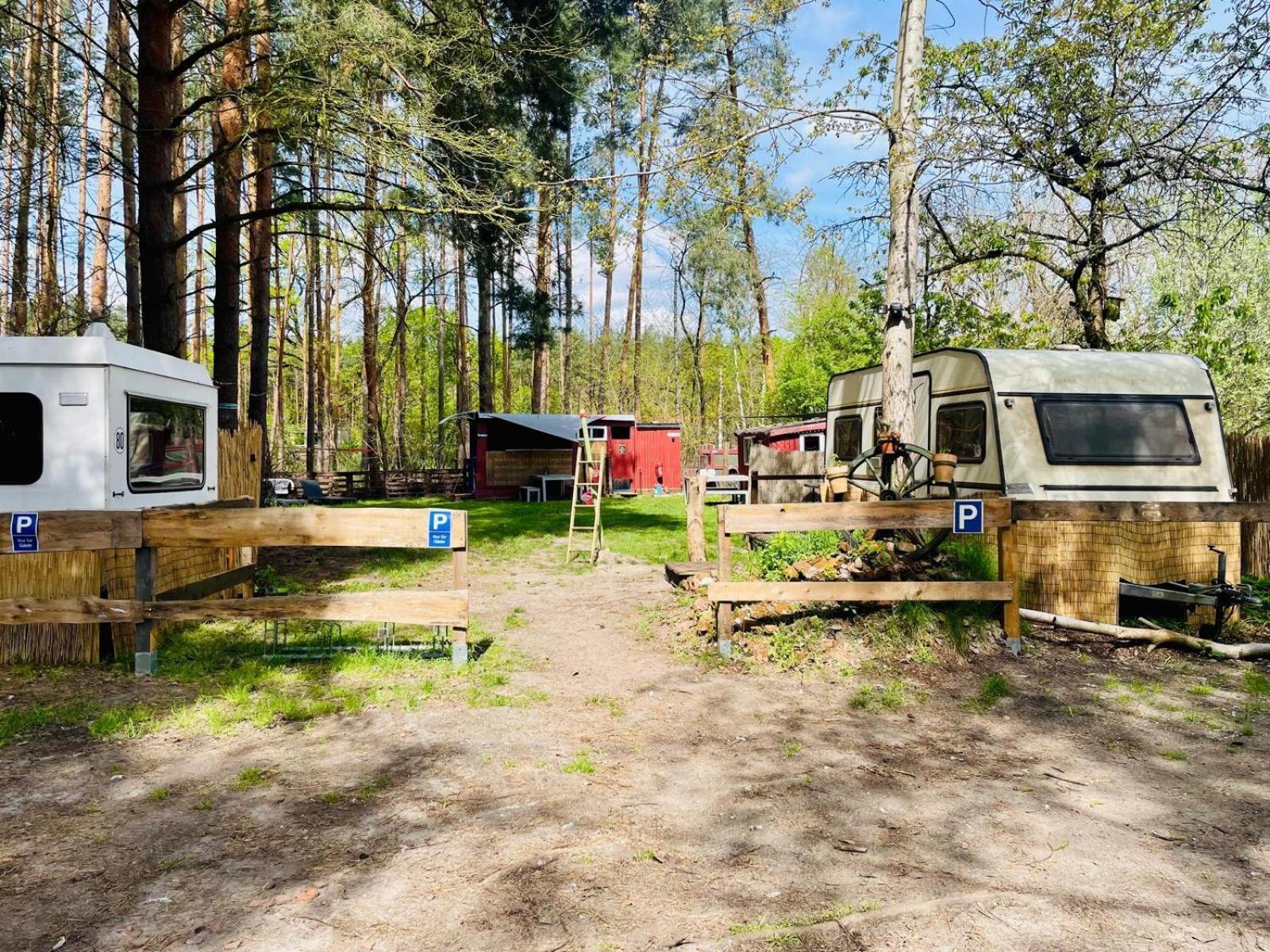 Waldcamp Mit Einfachen Und Zweckmaessigen Huetten Und Caravans Pur Campingplatz