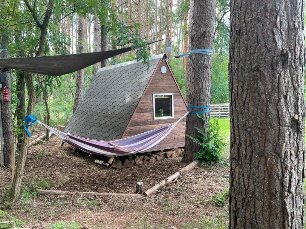 Waldcamp Mit Einfachen Und Zweckmaessigen Huetten Und Caravans Pur Campingplatz *